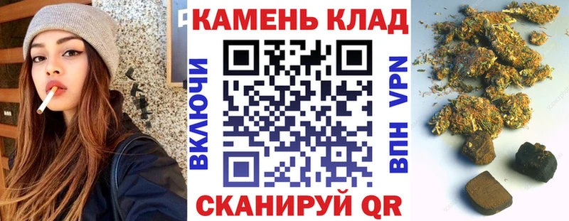 ГАШ Premium hydra Кохма