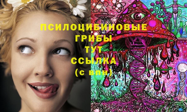 марки nbome Алзамай